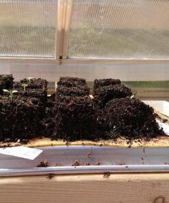 Ladbrooke Genuine Soil Block Maker - Mini 4 Hand Held - Most Popular Soil Blocking Tool, Made in England 49 818ce1L0kOL