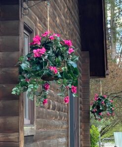 Nearly Natural Bougainvillea Basket Silk 1 Artificial Hanging Plant, 32 x 32 x 24, Green, Pink 44 818dlbTqT7L