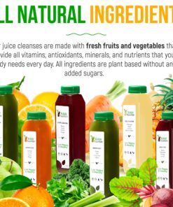 3 Day Juice Cleanse by Raw Fountain, All Natural Raw Detox Cleanse, Weight Management Program, Cold Pressed Fruit and Vegetable Juices, Tasty and Energizing, 18 Bottles 12oz, 3 Ginger Shots 3 Day Cleanse 31 818eH4jz4L
