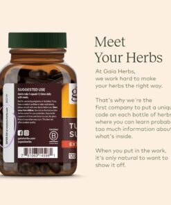 Gaia Herbs Adrenal Health Daily Support - with Ashwagandha, Holy Basil & Schisandra - Herbal Supplement to Help Maintain Healthy Energy and Stress Levels - 120 Liquid Phyto-Capsules (120 Count) 120 Count (Pack of 1) Standard Packaging 16 818gKX20poL