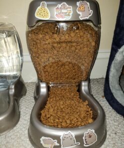 Petmate Pet Cafe Feeder Dog and Cat Feeder Pearlescent Colors 3 Sizes, Made in USA 6 lb. Pearl Tan 47 818hVmeDnLL