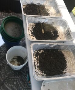 SE 13 1/4 Inch Stackable Classifier Gold Prospecting Pan Set - Includes 1/2" 1/4" 1/8" 1/12" and 1/20" Stainless Steel Mesh Sifting Pans, Green, 5 Pack 5 Pieces 41 818hemPz9NL