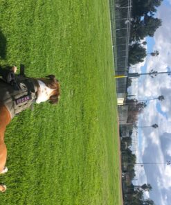 Personalized Custom Name Tape Names Strap Hook Fastener Backing 5 inches Black 16 818j1bF6ABL