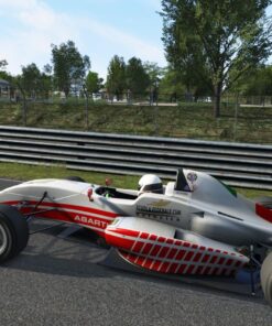 Assetto Corsa - PlayStation 4 Standard Edition 81 818sxriyIWL