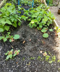 FlyBye DS8015 Copper Mesh for Pests and Bird Control, 20 ft. 9 8191ZQEcw2L