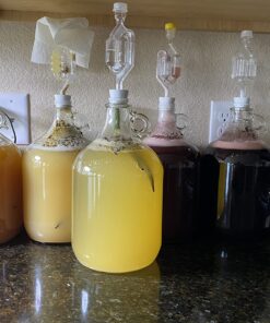 10 Tahitian Vanilla Beans for making Vanilla Extract - Grade A Vanilla Beans for Baking - 5-7 Inches (12 to 15 CM) long Vanilla Pods, Caviar Rich, Flavorful Fresh Vanilla Bean Pods by Gya Labs 1.2 Ounce (Pack of 1) 15 8191g6hDLjL