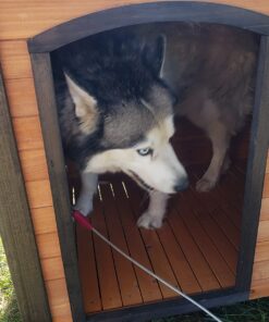 PRECISION PET PRODUCTS Extreme Outback Log Cabin Dog House, Large, Natural Wood (7027013) Walnut/Dark Brown Extreme Outdoor Log Cabin 23 8192EnDowL