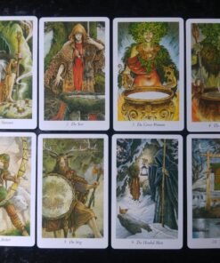 The Wildwood Tarot Deck: Wherein Wisdom Resides (Modern Tarot Library) 60 8195QzX3DL