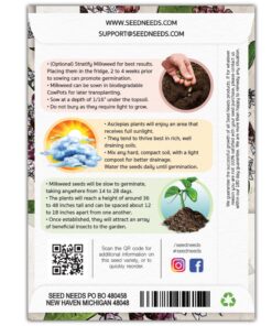 Seed Needs, Pink Common Milkweed Seeds - 100 Heirloom Seeds for Planting Asclepias syriaca - Perennial Flowers to Attract Monarch Butterflies & Other Pollinators (2 Packs) 2 Packs (200 Seeds) 10 8197LCgNxWL