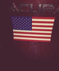 United States Heavy Duty Vinyl Bumper Sticker (3 x 5 Inches) 19 8198cuAQw8L