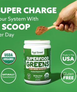 The Feel Great Vitamin Company USDA Organic Superfood Greens Powder - Berry Flavor, Vegan Organic Super Greens, Fruit and Vegetable Supplement, Enzymes & Probiotics. Greens and Superfoods Supplement. Adult Berry 16 819B4Q38X2L