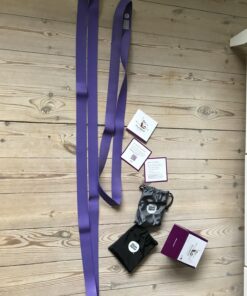 The PlumBand Stretch Band for Dance and Ballet – Colors and Sizes for Kids & Adults – Improve Your Splits, Strength, and Flexibility with Stretching – Printed Instruction Booklet and Travel Bag Plum Purple Regular 54 819DRZZpeL