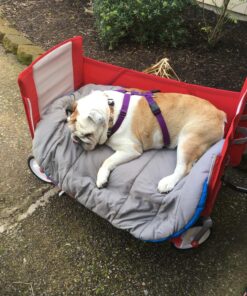 Radio Flyer 3-in-1 EZ Folding Wagon Ride On For Kids, Garden, & Cargo, Red Collapsible Wagon Base 54 819FSEphFYL