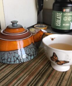 Lenox Porcelain 812099 Butterfly Meadow Monarch Cup And Saucer Cup/Saucer 16 819GMPyBdRL