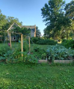 Fi-Shock P-30G 30 Inch Garden Fence Post, Ideal for Gardens and Temporary Fencing - 25 Pack,Dark Green Garden Post 25 819IyaGLiL