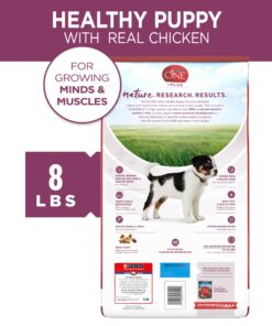 Purina ONE Plus Healthy Puppy Formula High Protein Natural Dry Puppy Food with added vitamins, minerals and nutrients - 8 lb. Bag Dry Food Chicken 8.00 Pound (Pack of 1) 22 819J7pYJNQL