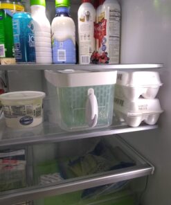 OXO Good Grips GreenSaver Produce Keeper - Large,White 55 819Jm3PF4wL