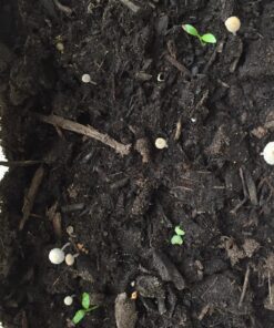 Miracle-Gro 75052430 All-Purpose Garden Soil, 2 CF 24 819KqjOhsGL