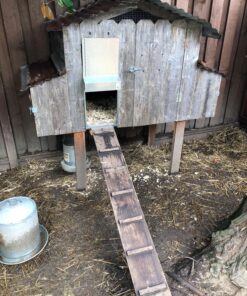 ADOR1 Automatic Chicken Coop Door, Complete with Battery 45 819O1B62lJL