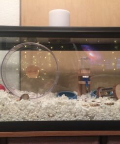 Living World Ergonomic Food Dish, for Small Animals, Blue, Small, 4.22oz, 61682A1 25 819PYWabHL