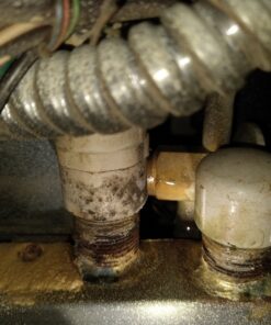 Mold Armor Do It Yourself Mold Test Kit 43 819YR9MXMBL