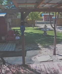 ANNKE 1080p Security Camera 4-in-1 CCTV Bullet Wired Cam, AHD/TVI/CVI/CVBS, Analog Surveillance Video Add–On Camera for Indoor/Outdoor Use, 100ft Clear Night Vision (Power Adapter Not Included) - E200 Black 61 819ZAbMt6SL