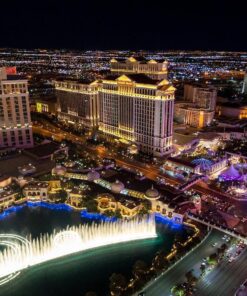 Rokinon 14mm F2.8 Full Frame Auto Focus Lens for Sony E-Mount, Black (IO14AF-E) 34 819arjo99ZL