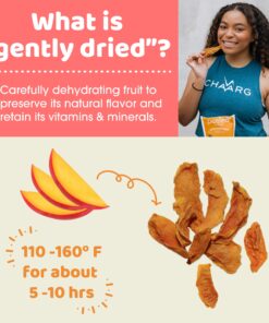 Peeled Snacks Organic Dried Fruit, Mango, – Healthy, Vegan Snacks for On-the-Go, Lunch and More, 1.23 Ounce (Pack of 10) 14 819fGU2mTWL
