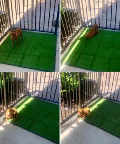 GOLDEN MOON Turf Grass, Artificial Grass, Tile Interlocking and Self-Draining Mat for Patio, Indoor Outdoor, 1x1 ft, 1.5 in Pile Height, 9 Pack 9 Tiles(9 sq ft) 54 819ftZQyrL