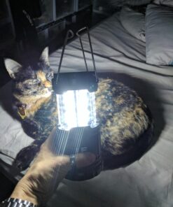 Lepro LED Camping Lantern, Super Bright, Battery Powered, IPX4 Water Resistant, Portable Emergency Lights for Hurricane, Storms, Outages, Collapsible, 2 Packs 35 819gtz1iG9L