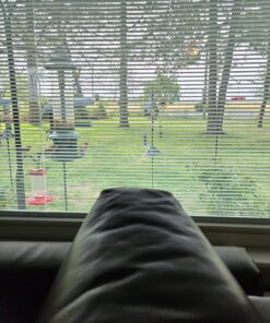 Ashman Black Shepherd Hook 92 Inch (Pack of 3), 1/2-Inch Thick, Solid Metal Single Piece Hook, Super Strong, Rust Resistant, Hanging Plant Baskets, Heavy Bird Feeders & More. 3 Pack 21 819hVQ8AhSL