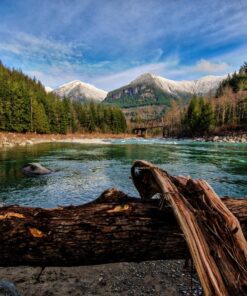 Tamron AFA012N700 SP 15-30mm f/2.8 Di VC USD Wide-Angle Lens for Nikon F(FX) Cameras Black 47 819jRi1MtmL