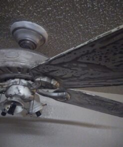 Savogran 10621 Trisodium Phosphate (TSP) 1LB (16oz) 29 819mcJKQFL