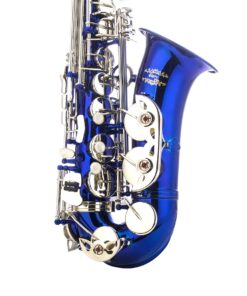 Glory Blue/Silver keys E Flat Alto Saxophone with 11reeds,8 Pads cushions,case,carekit 15 819p4NJYITL
