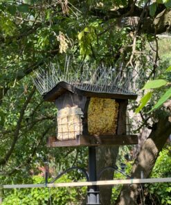 Heath Outdoor Products DD4-12 Heath Bird Suet, Yellow, 11.25 Ounce (Pack of 12) 11.00 Ounce (Pack of 12) 38 819pc2RJ3VL