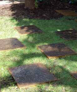 Scotts Turf Builder Grass Seed Bermudagrass, Mix for Full Sun, Built to Stand Up to Heat & Drought, 5 lbs. 5 lb. 61 819pmPZfvzL