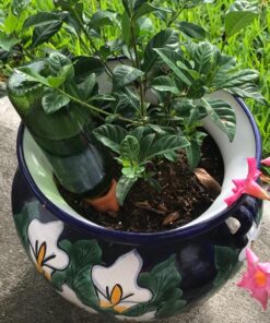 REMIAWY Plant Watering Stakes 6 Pack Automatic Plant Waterers for Vacations, Plant Watering Devices Terracotta Self Watering Spikes for Wine Bottles Great Watering Spikes for Indoor & Outdoor Plants 49 819sX3nMktL 2