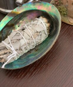 3 White Sage Smudge Gift Kit - Abalone Shell, Feather, Stand, Instructions & More - Smudging, Cleansing, Healing & Stress Relief Standard with Feather, Stand & Chakra Bracelet 29 819uL1rNGL