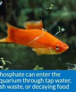 API Phosphate Test Kit For Freshwater And Saltwater 13 81A dTjdcOL