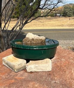 Little Giant® Plastic Utility Pan | Feed Pan | Durable & Versatile Livestock Feeding Bucket | Made in USA | 3 Gallon | Green 19 81A5FRRdaKL