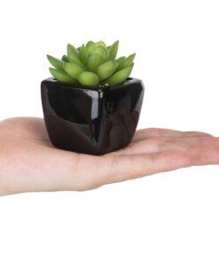 MyGift Set of 3 Faux Succulents in Mini Square Pots - Modern Home Decor Succulent Artificial Plants with Black Ceramic Planter Pot 19 81A9qmBg2KL