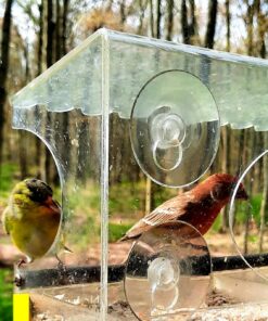 Large Clear Window Bird Feeder - Extended House with Strong Suction Cups - Steel Perch Sliding Feed Seed Tray - See Through Transparent Big Birdhouse - Wild Finch, Cardinal, Blue Jay - Cool Cat Gift 85 81AB19lJsnL
