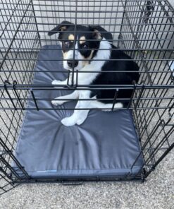 MidWest Homes for Pets Newly Enhanced Double Door iCrate Dog Crate, Includes Leak-Proof Pan, Floor Protecting Feet, Divider Panel & New Patented Features 36 inch (Pack of 1) 33 81ABug6tyAL