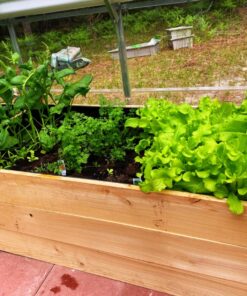 Greenes Fence Premium Cedar Raised Garden Bed, 8' x 8' x 16.5" U-Shaped Bed - Made in USA with North American Cedar 8' x 8' x 16.5" WithOUT CritterGuard Fencing 23 81AFa4F7zRL