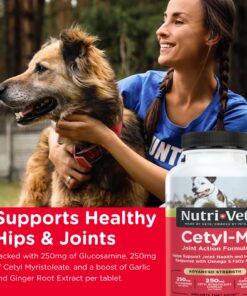 Nutri-Vet Cetyl-M Advanced Joint Action Formula Chewable Tablets 360 ct 11 81AJFhFf8wL