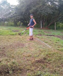 BLACK+DECKER 20V MAX String Trimmer, 2-Speed, 12-Inch, Cordless (LST522) 20V String Trimmer Kit 38 81AKHzApzlL