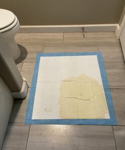 Ultra Absorbent Odor Control Training Pads For Dogs Leak-proof Quick Dry Gel – Extra Large 30 x 28 Pee Pads - Fresh Scented - 50 Count, Pack of 1 XL 30" x 28" - 50 Count, Pack of 1 25 81ANuBVtdlL