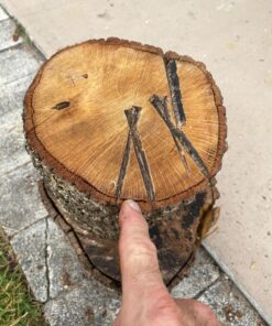 Sun Joe LJ10M 10-Ton Hydraulic Log Splitter, Green 48 81AO2yeUSfL