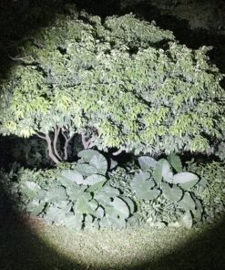 BlueFire 1200 Lumen Super Bright XM-L2 LED Handheld Flashlight with Adjustable Focus and 5 Light Modes, Outdoor LED Torch, Tactical Flashlight for Camping & Hiking 35 81AO9gQQZTL