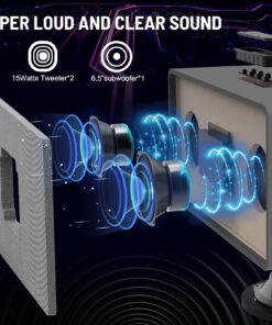 RHM K222 Karaoke Machine, with 2 Wireless Microphones & 5 Sound Modes, Support Optical/Bluetooth/AUX/USB/PC, Wooden Bluetooth Speaker for TV/Home/Meeting/Karaoke/Party, Gift for Music & Karaoke Lovers Gray 12 81AOqdjf39L